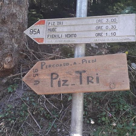Casa Vacanza Pineta Malonno Bagian luar foto