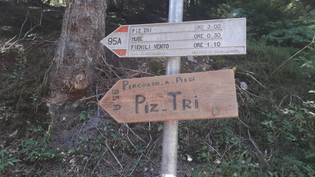 Casa Vacanza Pineta Malonno Bagian luar foto