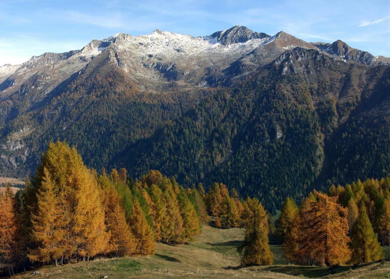 Casa Vacanza Pineta Malonno Bagian luar foto