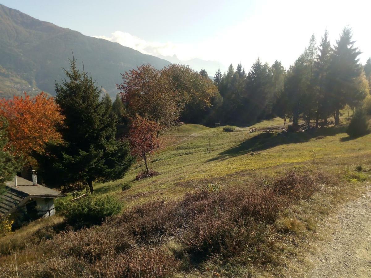 Casa Vacanza Pineta Malonno Bagian luar foto